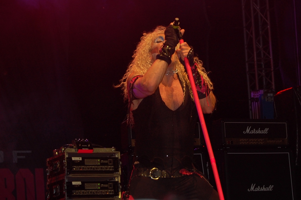 3 Twisted Sister 50.jpg